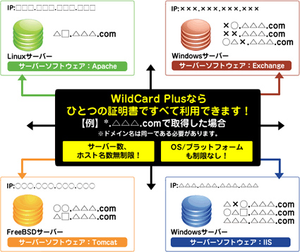 WildCard Plus説明イメージ